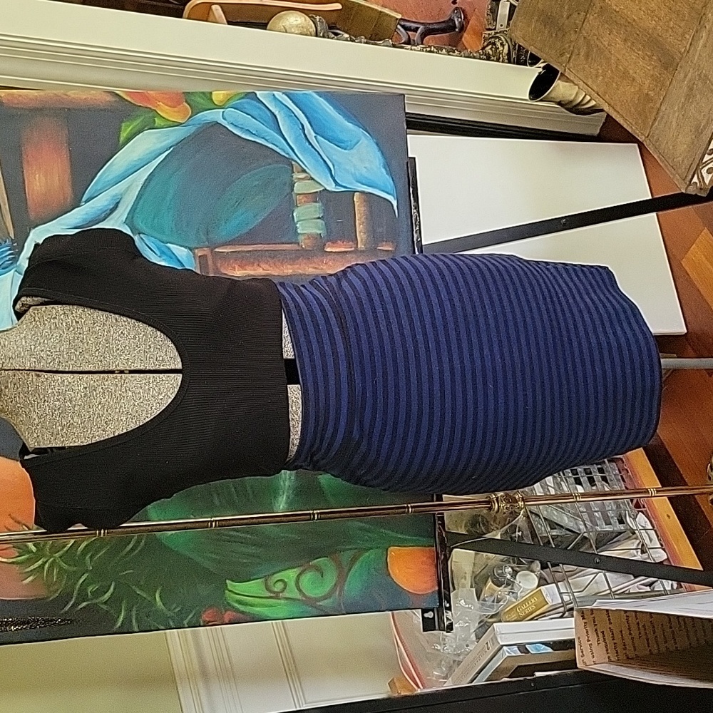 Dark Blue & Black Stripe Pencil Skirr S